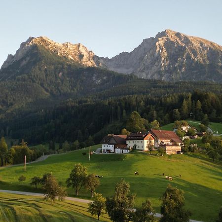 Singerskogel - Ferienhof Und Jausnstub'N Шпитал ам Пирн Екстериор снимка